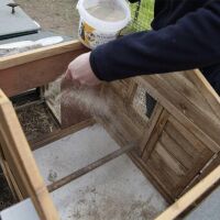 Diatomeenerde Kieselgur (1 kg)