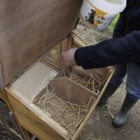 Diatomeenerde Kieselgur (1 kg)