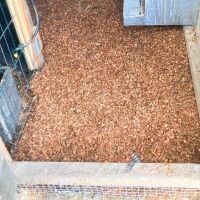 Kokoseinstreu grob (100 L)  | biologisch abbaubar und kompostierbar