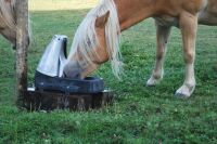 Weidetränke POLYPUMP – selbstansaugende Pumpe...