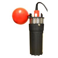 Weidepumpen-Set mit 60 W Solarpanel – Wasserförderung für Weide