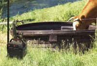 Weidepumpen-Set mit 60 W Solarpanel – Wasserförderung für Weide