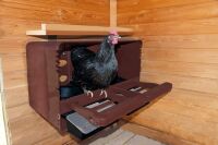 Legenest CHICKBOX | braun