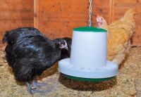 Kunststoff Geflügelfutterautomat ASCOT | grün | (2,5 kg)