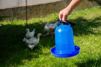 Hühnertränke Kunststoff 5 Liter – Blaue Geflügeltränke stabil & hygienisch