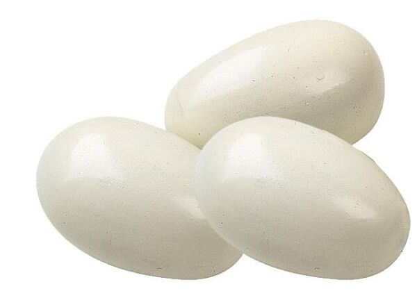 Nesteier aus Holz für Hühner | weiß | 3 Stück