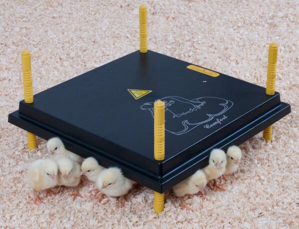 Wärmeplatte für Küken | 42 Watt | 40 cm x 40 cm