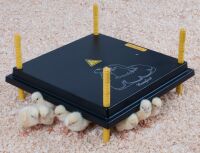 Wärmeplatte für Küken | 42 Watt | 40 cm x 40 cm